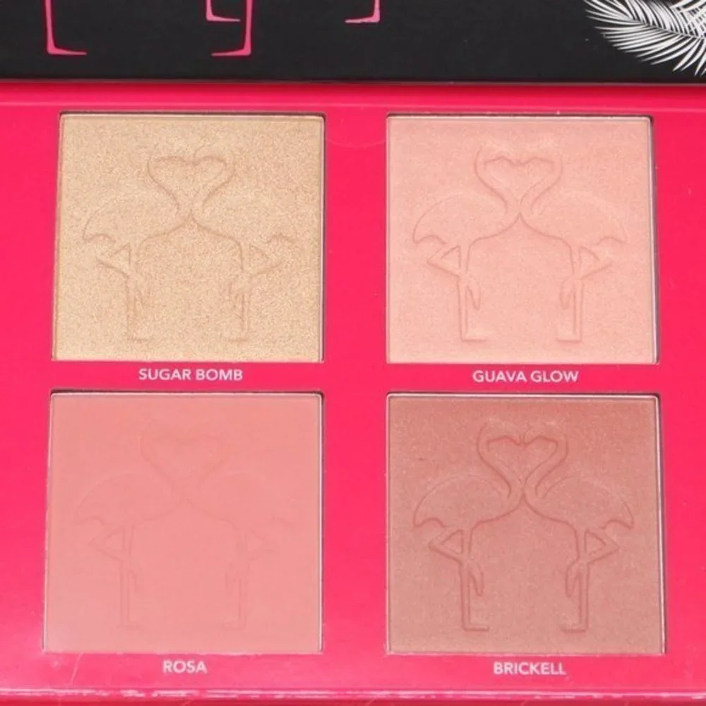 Shaina B. Miami Mini Blush Highlight Palet…